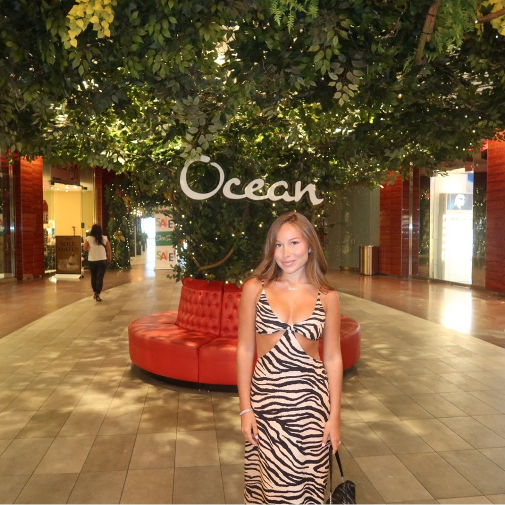 Zebra Print Cutout Dress